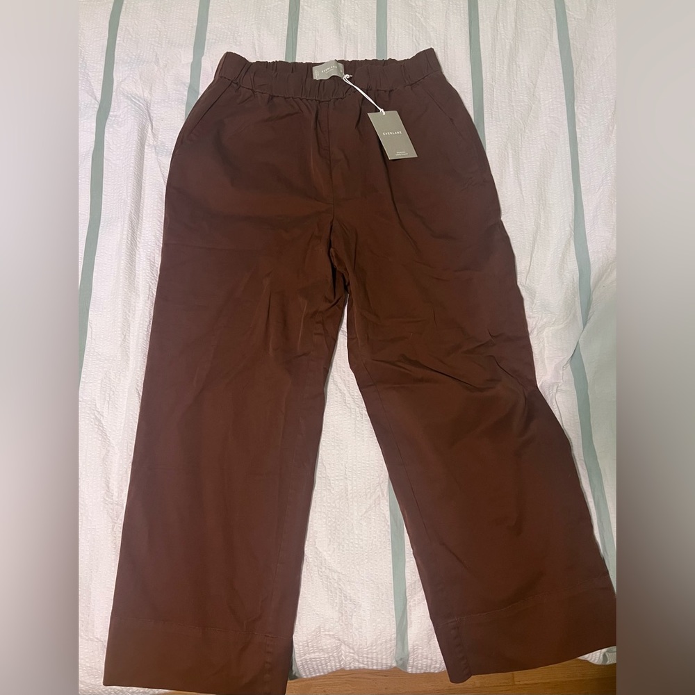 Everlane The Easy Pant in Espresso